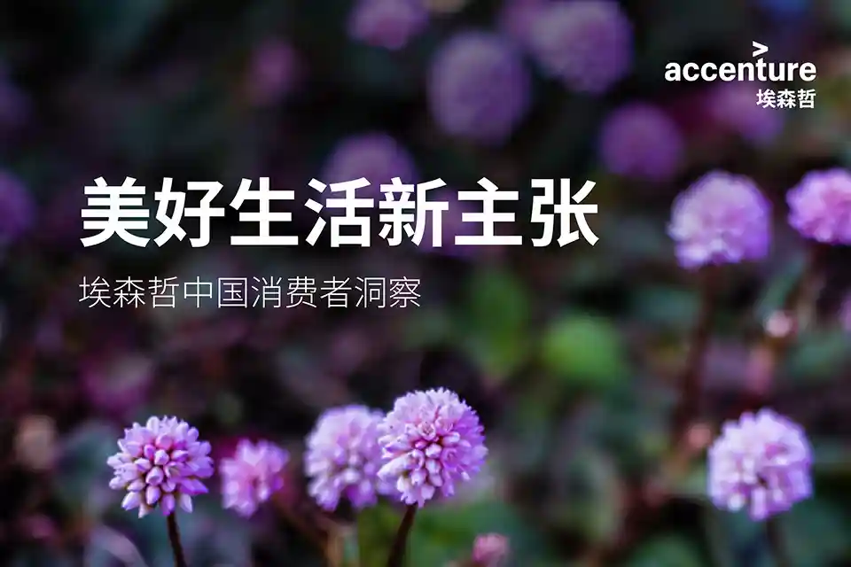 埃森哲2025年中国消费者洞察报告